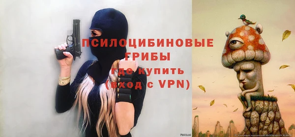 твердый Алзамай