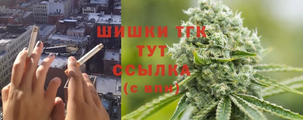 твердый Алзамай