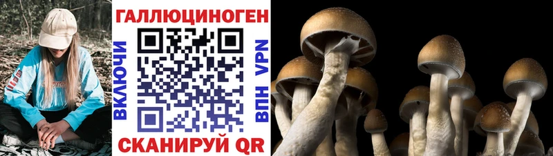 KRAKEN как зайти  Подпорожье  Галлюциногенные грибы Psilocybine cubensis  магазин  наркотиков 