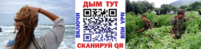 Бошки Шишки Bruce Banner  как найти закладки  Подпорожье 